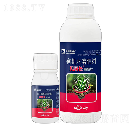 有機(jī)水溶肥料-見(jiàn)風(fēng)長(zhǎng)·磷酸肽-邦爾泰生物