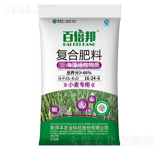 小麥專用海藻活性復(fù)合肥料16-24-6-百倍邦-新洋豐肥業(yè)