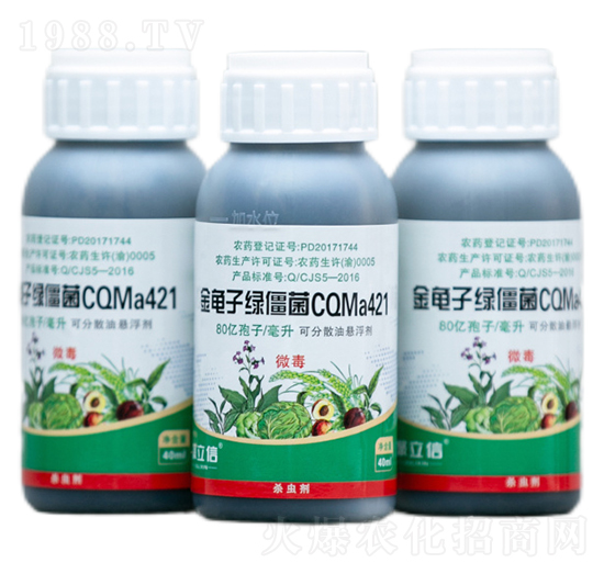 金龜子綠僵菌CQMa421油懸浮劑-聚立信生物