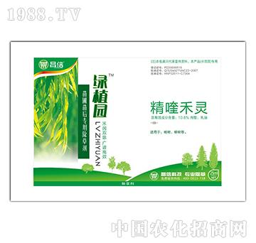 楊樹(shù)/柳樹(shù)專(zhuān)用除草劑-綠植園-昌信科技