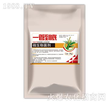 微生物菌劑2kg-一管到底-山農(nóng)