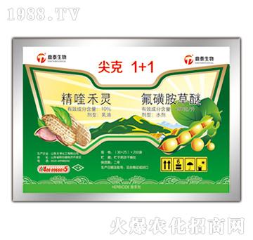 10%精喹禾靈+25%氟磺胺草醚（55g）-尖克1+1-鼎泰生物