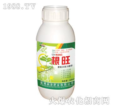 根旺500ml-潤(rùn)澤肥業(yè)