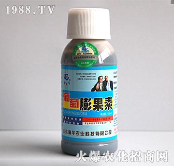 100ml葡萄膨果素-海華農(nóng)業(yè)