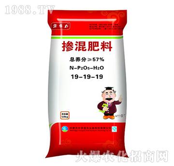 摻混肥料19-19-19-蒙多力-中京慧爾