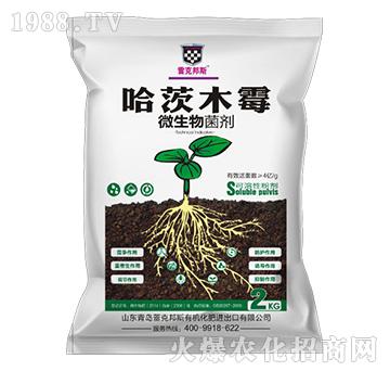 哈茨木霉（袋）-微生物菌劑-雷克邦斯