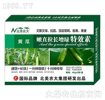 黃瓜嫩直拉長增綠特效素-北美農(nóng)大