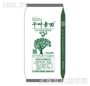 千葉幸田25kg-功能型全水溶顆粒復(fù)混肥