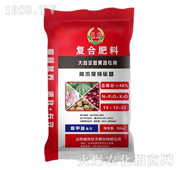 大蒜洋蔥果蔬專用復(fù)合肥料14-12-22-寶囤