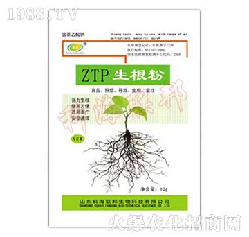 ZTP10g-