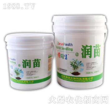 潤(rùn)苗含黃腐植酸水溶型功能肥10kg-澤潤(rùn)