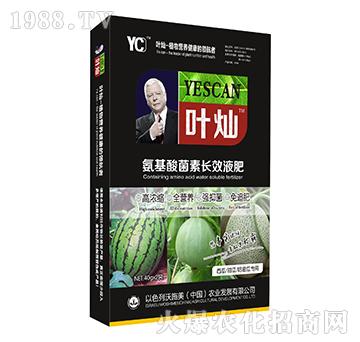 西瓜甜瓜哈密瓜專用氨基酸菌素長(zhǎng)效液肥-葉燦-沃施美