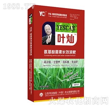 韭菜專用氨基酸菌素長(zhǎng)效液肥-葉燦-沃施美