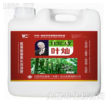 黃瓜專用氨基酸菌素長效液肥-葉燦-沃施美