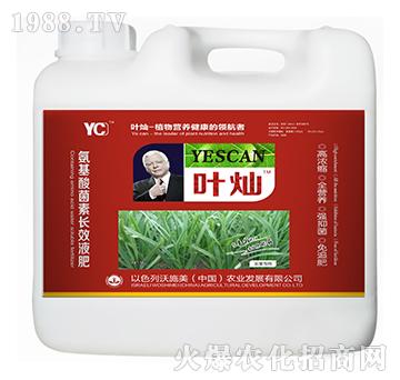 韭菜專用氨基酸菌素長效液肥-葉燦-沃施美