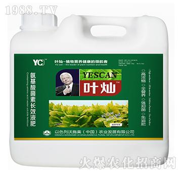 煙草專用氨基酸菌素長效液肥-葉燦-沃施美