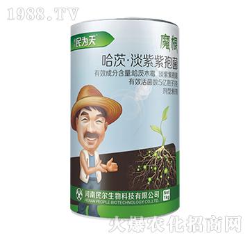 哈茨·淡紫紫孢菌-復(fù)合微生物菌劑-民爾生物