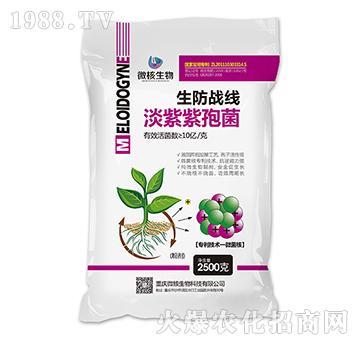 淡紫紫孢菌-生防戰(zhàn)區(qū)粉劑-微核生物