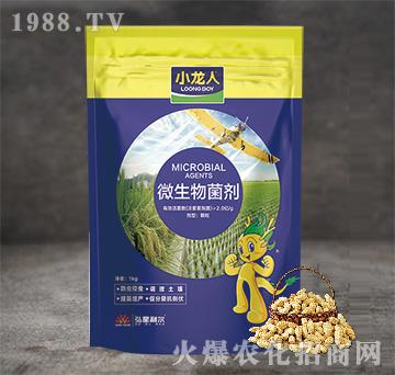 微生物菌劑-小龍人-弘星利爾