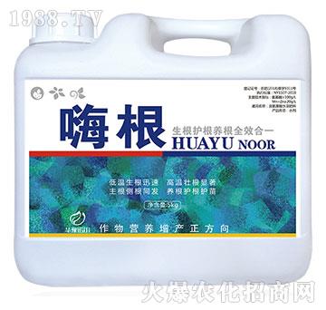 含氨基酸水溶肥料-嗨根-諾爾