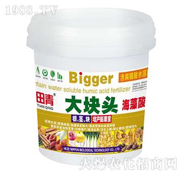 含腐植酸水溶肥料-大塊頭-立邦生物