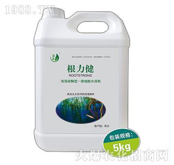 海藻碳酶型腐植酸水溶肥-根力健-盈農(nóng)農(nóng)業(yè)