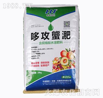 含腐殖酸水溶肥料-哆攻螚淝-（20kg）-中誠國聯(lián)