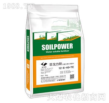 大量元素水溶肥料12-6-40+TE-菲戈力斯-金寶萊