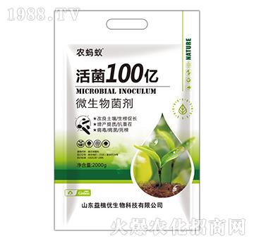 微生物菌劑-活菌100億-農(nóng)螞蟻-益植優(yōu)