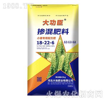 小麥專用摻混肥料18-22-6-大功臣-大地肥業(yè)