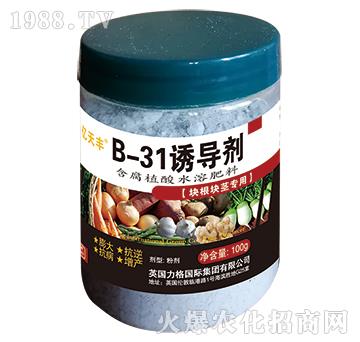 塊根塊莖專用-B-31誘導(dǎo)劑-億夭豐-力格國際