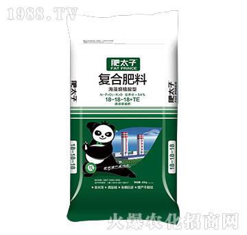 海藻腐殖酸型復合肥料18-18-18+TE-肥太子