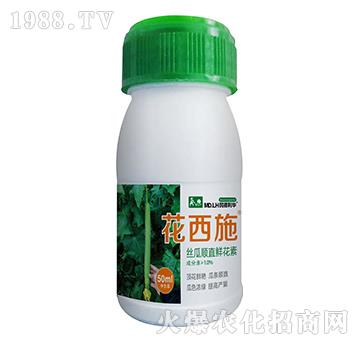 絲瓜順直鮮花素-花西施-民德利華