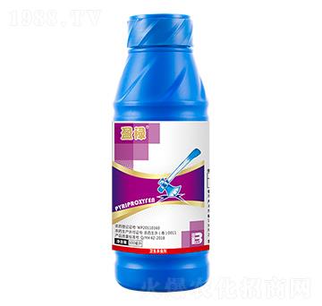 ΢鄩500ml-ӯ-ӯx