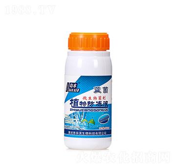 500mlֲҺ-