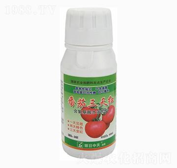 番茄專用含氨基酸水溶肥料-番茄三天紅-中天肥業(yè)