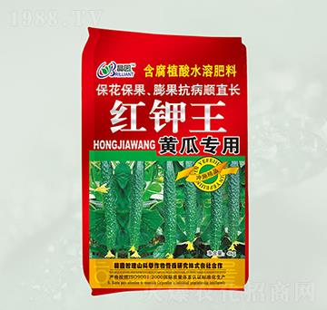 黃瓜專用含腐植酸水溶肥-紅鉀王-晶園肥料