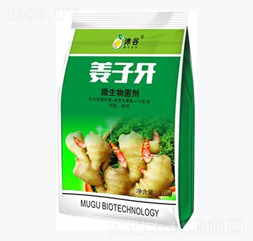 微生物菌劑-姜子牙-沐谷生物