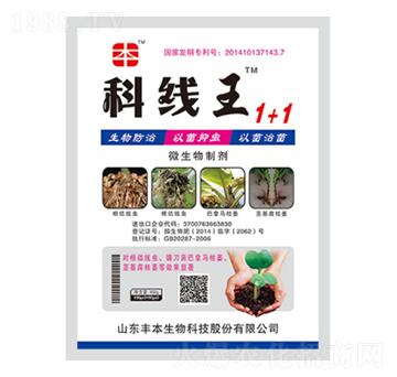 微生物菌劑-科線王1+1-豐本生物