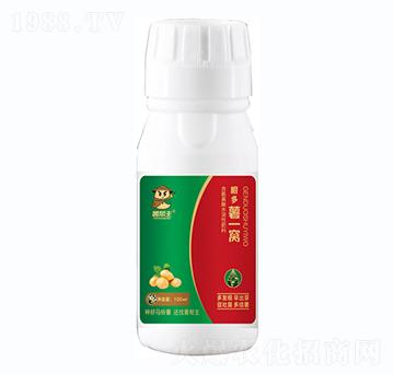 薯幫主根多薯一窩-升華永樂