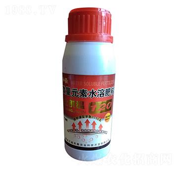 微量元素水溶肥料-搶積溫-禾森農(nóng)業(yè)