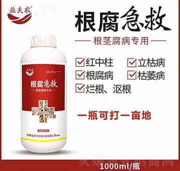 根莖腐病專用-根腐急救-益夫農(nóng)