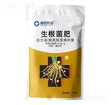 巨大·枯·側(cè)孢短芽孢桿菌-生根菌肥-加號(hào)農(nóng)業(yè)