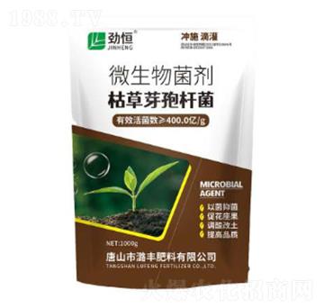 枯草芽孢桿菌-勁恒-潞豐肥料