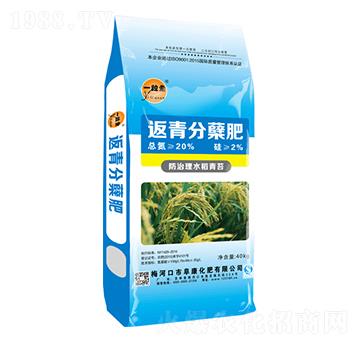 返青分蘗肥-一粒全-阜康化肥