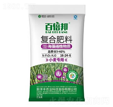 小麥專用海藻活性復(fù)合肥料16-24-6-百倍邦-新洋豐肥業(yè)