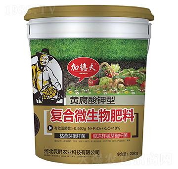 黃腐酸鉀型復(fù)合微生物肥料-加德夫-晁群農(nóng)業(yè)