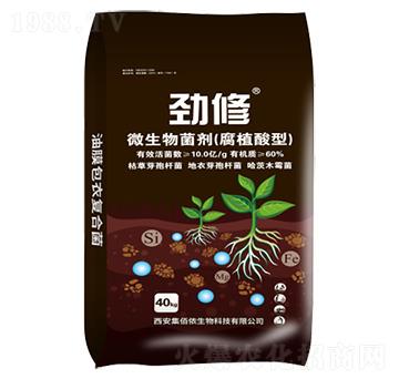 腐植酸型微生物菌劑-勁修-集佰儂生物