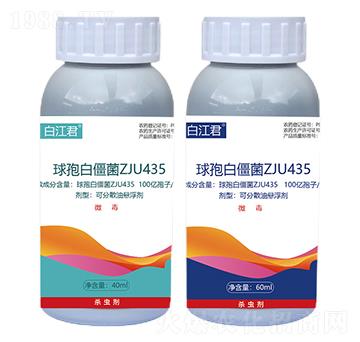 球孢白僵菌ZJU435-聚立信生物