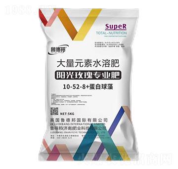 陽光玫瑰專用大量元素水溶肥料10-52-8+蛋白球藻-魯?shù)掳? />
                                </div>
                            </div>
                            
                            <style type=